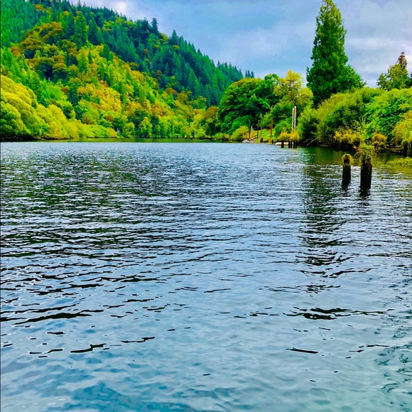 Meet your Posher, Cindy - Picture 4 of 7